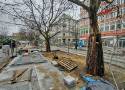 Wycięto drzewa na ul. 27 Grudnia w Poznaniu! Jest skarga mieszkańców na miasto i sposób prowadzenia remontu