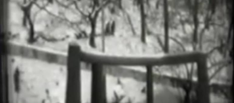 Zdjęcie artykułu z dnia 28-12-2025