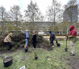 Studenci i naukowcy z Wrocławia stworzyli biopolepszacz glebowy