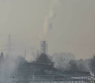 Poseł PiS: Poznań przegrywa walkę ze smogiem. Prezydent nie panuje nad sytuacją