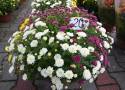 Sprawdziliśmy, ile kosztują znicze i kwiaty w Bielsku-Białej. Drogo czy tanio? Sami oceńcie