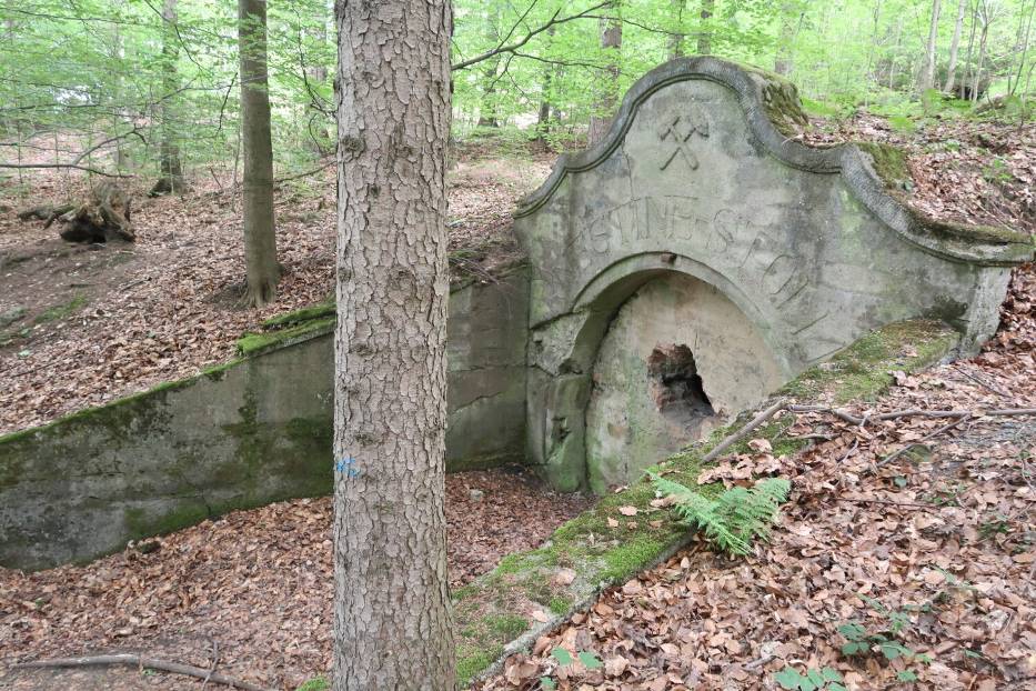 Niesamowity portal w lesie na Dolnym Śląsku! To dawna sztolnia Ernestine - rówieśniczka Lisiej Sztolni - jak ją znaleźć? Zdjęcia
