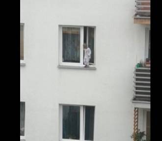 Dwulatek stał na parapecie okna na 4. piętrze na Starodębskiej we Włocławku?!