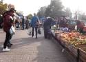 Ceny warzyw i owoców na targowisku Korej w Radomiu w czwartek, 19 października. Zobaczcie zdjęcia
