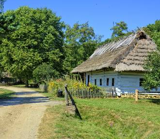 TOP 25 najmniejszych wsi w Śląskiem. Te miejscowości mają najmniej mieszkańców