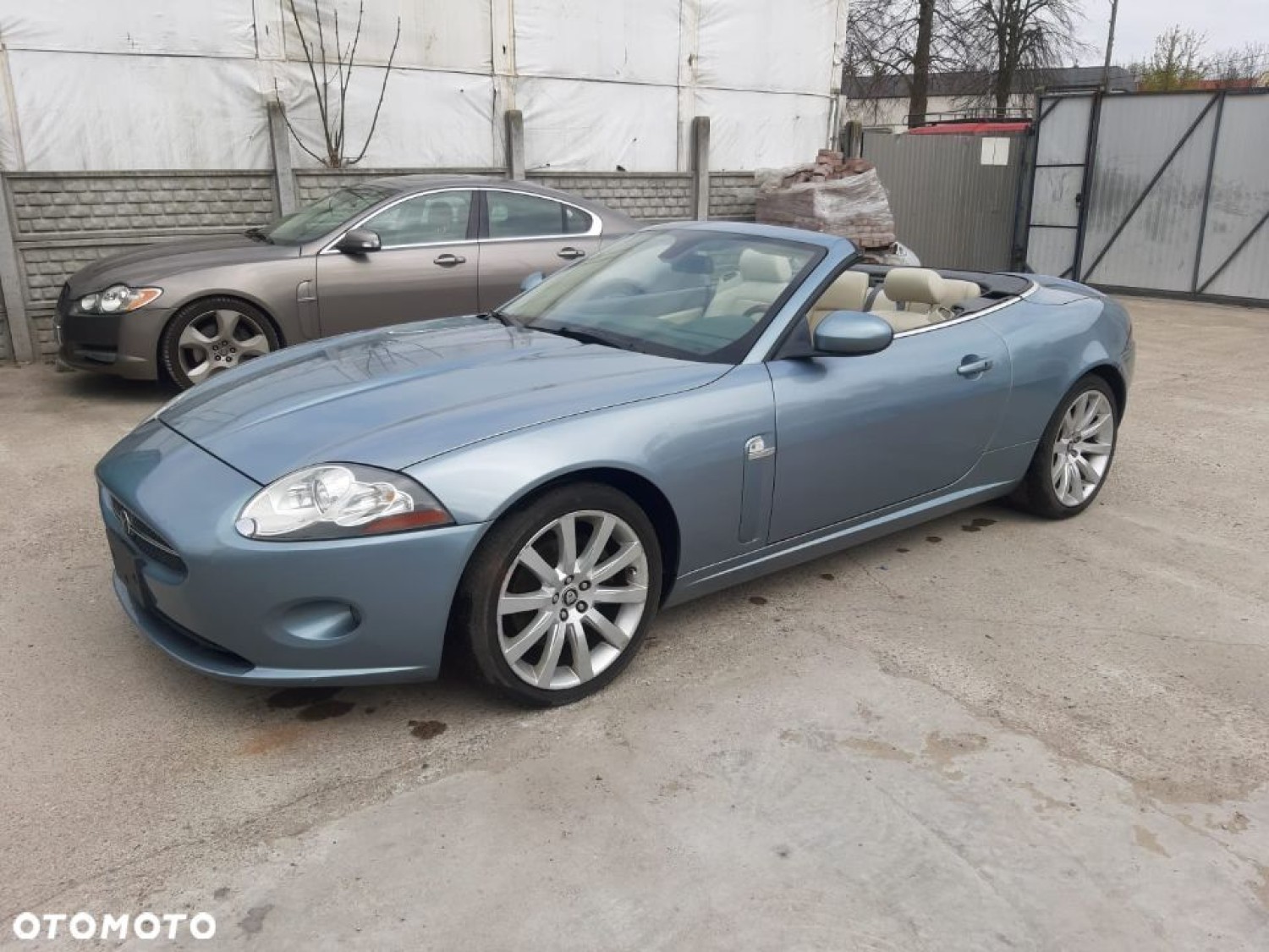Jaguar XK