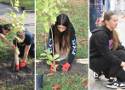 Akcja „Z ekologią na Ty". Uczniowie zasadzili ponad czterdzieści drzew