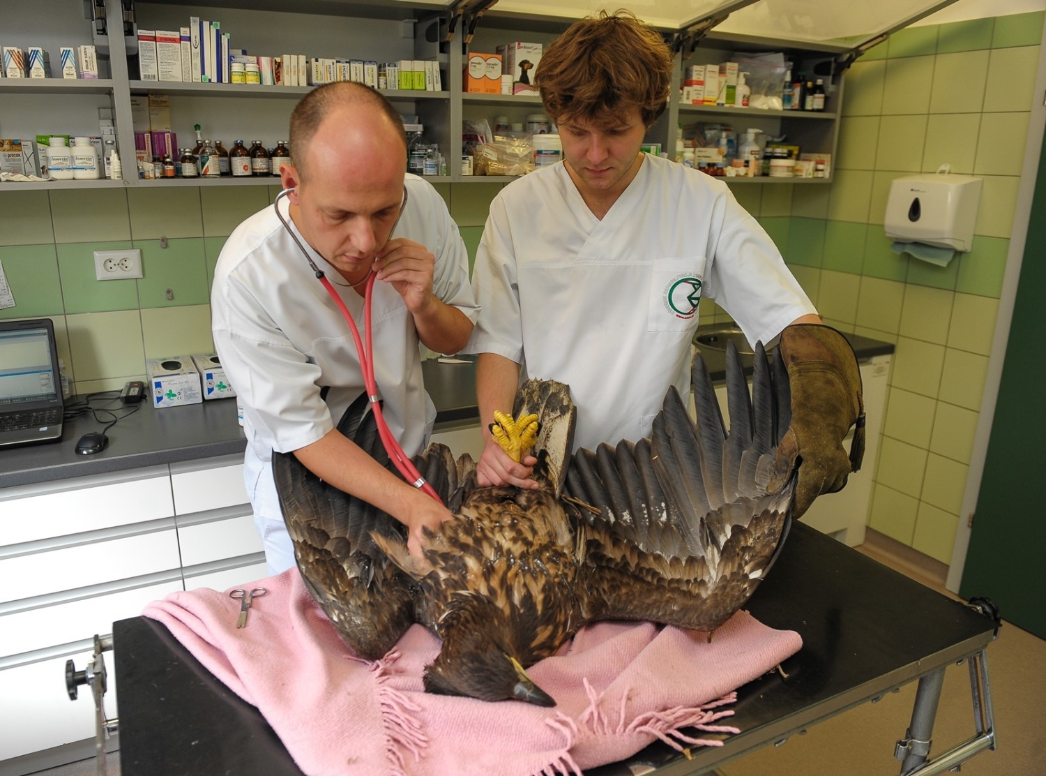 Lecznica Dla Zwierząt "Ada"