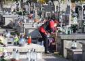 Zaczęły się przygotowania do Wszystkich Świętych w Radomiu. Wiele osób już sprząta groby na cmentarzu przy ulicy Limanowskiego