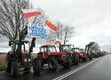 Rolnicy znów wyjechali na drogi w Wielkopolsce. 6 i 7 marca będą utrudnienia na A2 i DK11