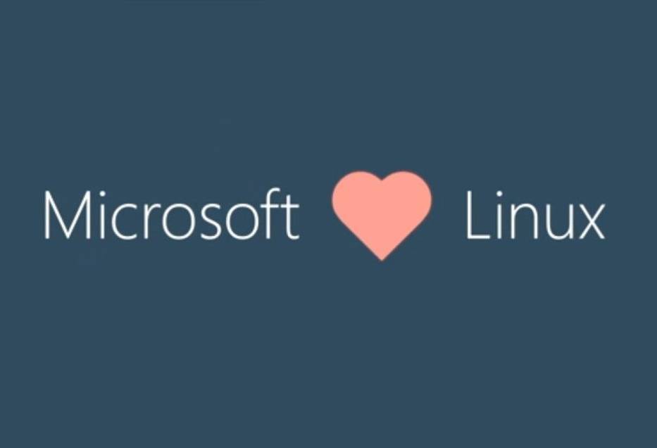 "Microsoft"_i_"Linux"