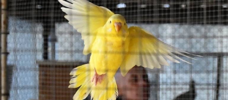 Zdjęcie artykułu z dnia 21-04-2026