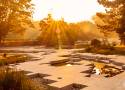 Magiczny Ogród Japoński w Parku Śląskim, skąpany w świetle wschodzącego słońca. Świetne ZDJĘCIA! Wkrótce będzie tam najpiękniejszy czas