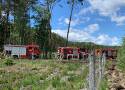 10 zastępów straży pożarnej gasiło las w gminie Margonin 