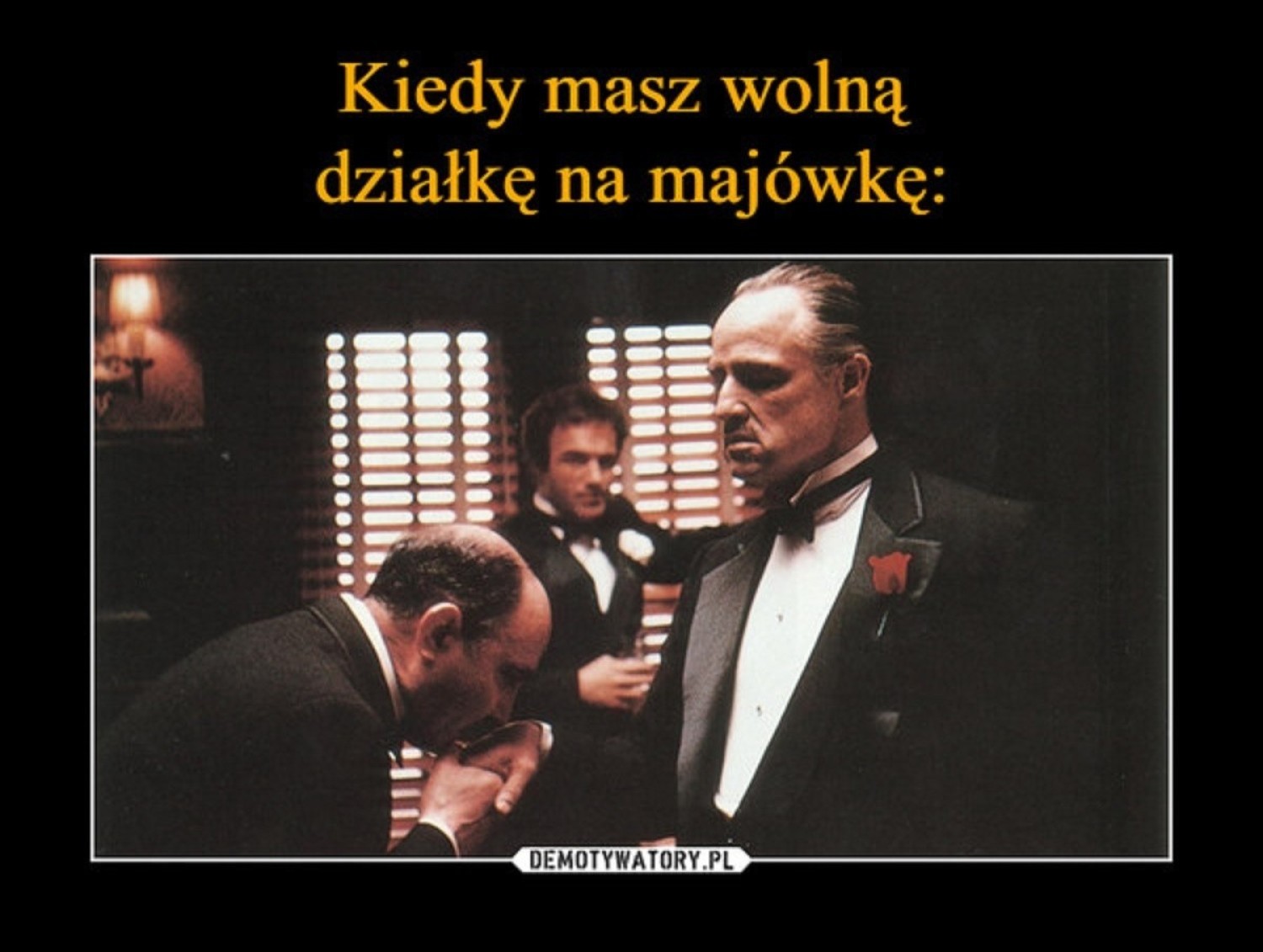 Najlepsze memy o działkowcach i modzie na ogródki działkowe