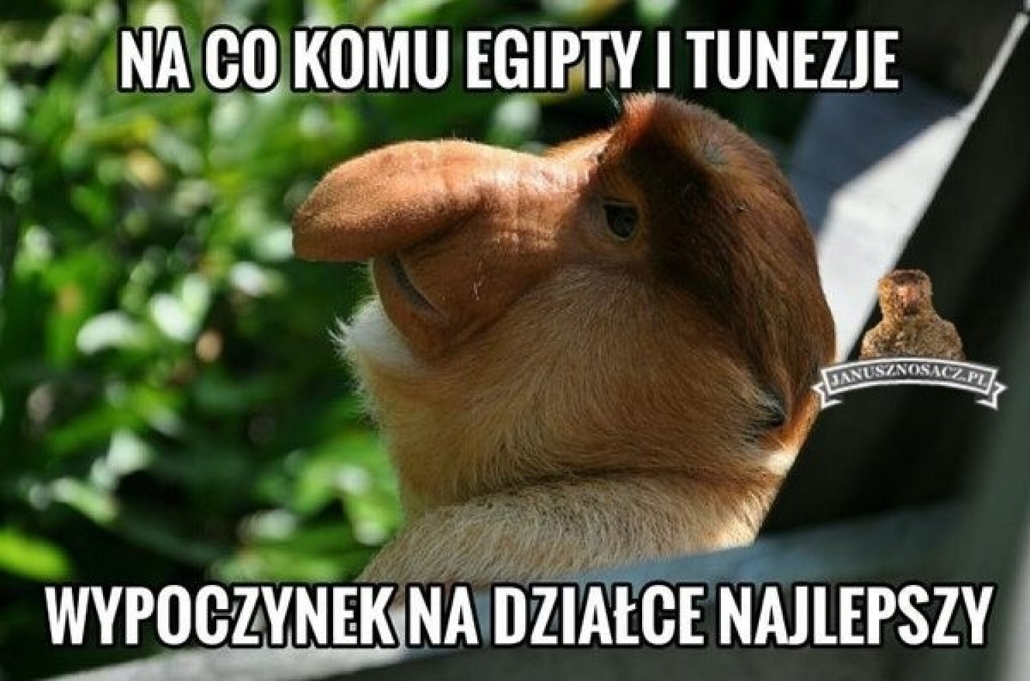 Najlepsze memy o działkowcach i modzie na ogródki działkowe