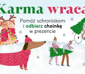 Karma Wraca: pomóż zwierzakom i odbierz choinkę w prezencie!