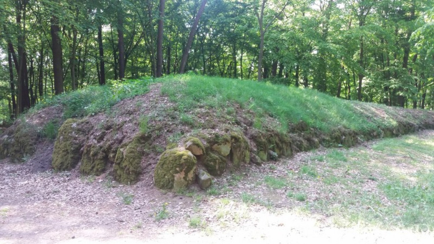 Rezerwat archeologiczny w Wietrzychowicach