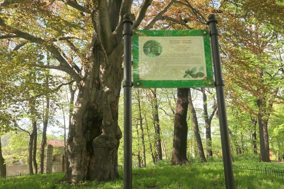 Najstarszy park Wałbrzycha - Park im. Tadeusza Kościuszki - pomysł na wiosenny spacer. Zobaczcie zdjęcia
