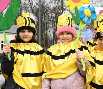 Pierwszy Dzień Wiosny w Końskich. Tak przedszkolaki pożegnały zimę. Zobacz zdjęcia