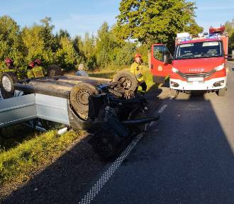 Groźny wypadek w powiecie poddębickim. Zderzenie osobówki z... łosiem ZDJĘCIA
