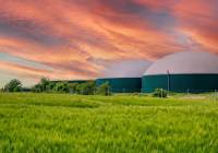 Biogaz – nie tylko energia                         