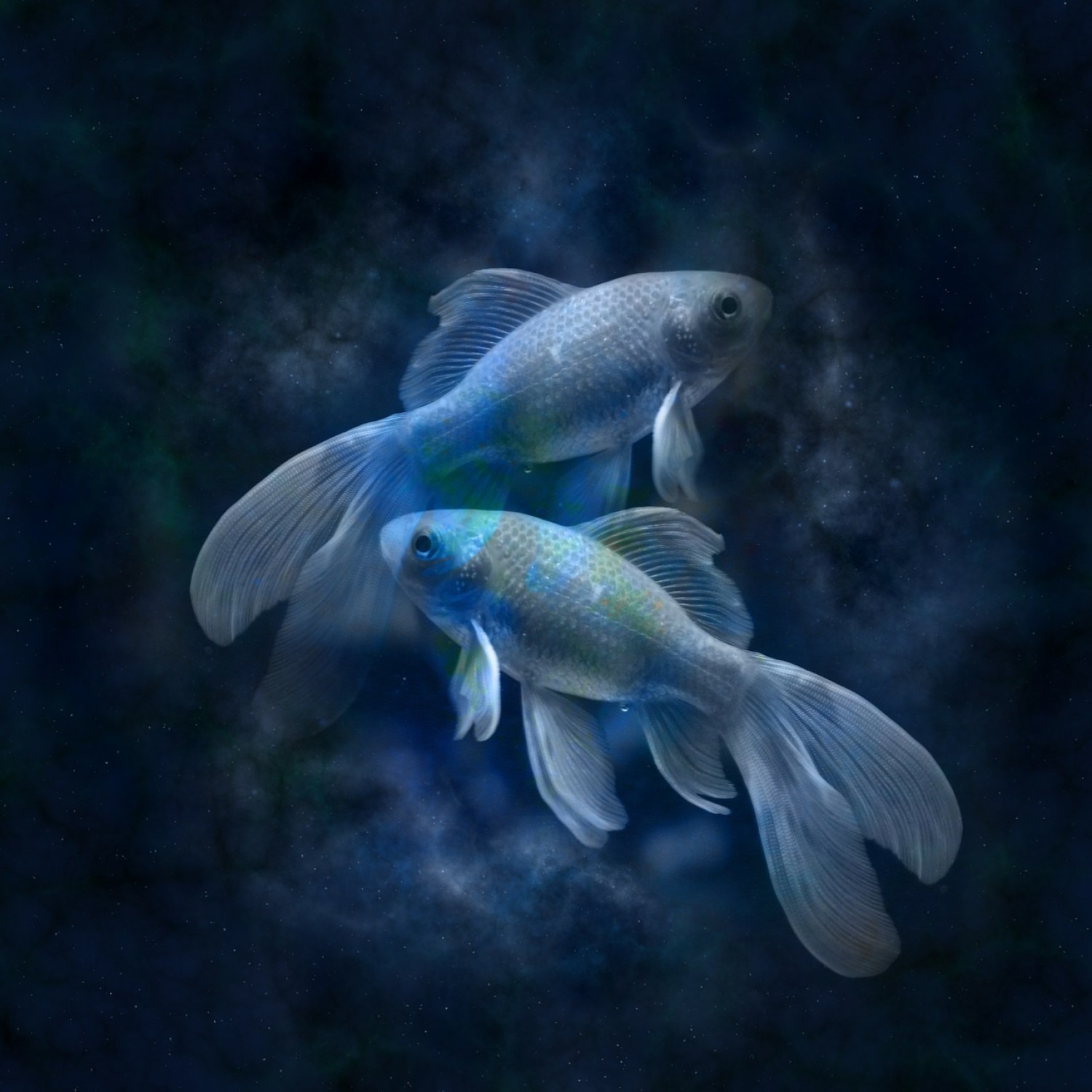 Horoskop codzienny