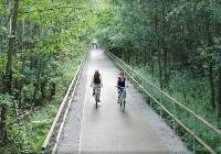TOP 10 szlaków rowerowych w Rybniku i okolicy. Trasy na weekend ZDJĘCIA