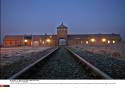79. rocznica wyzwolenia Auschwitz/Birkenau: Hołd ofiarom i refleksja nad ludzkim wymiarem