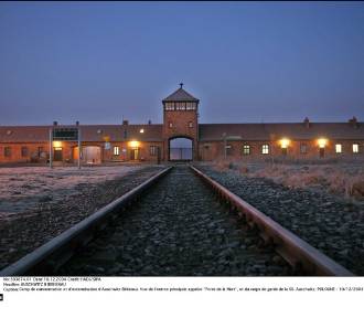 79. rocznica wyzwolenia Auschwitz/Birkenau