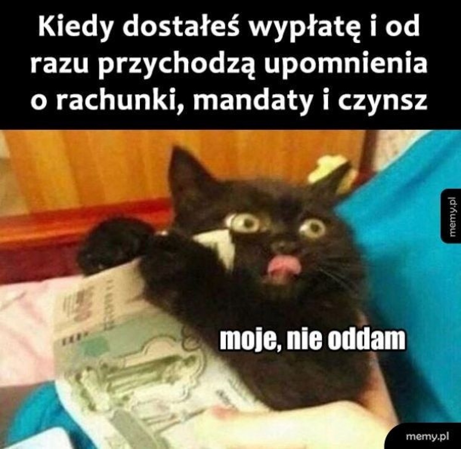 Jeśli zastanawiasz się, gdzie jest twoja wypłata - zobacz memy internautów, którzy mają ten sam problem