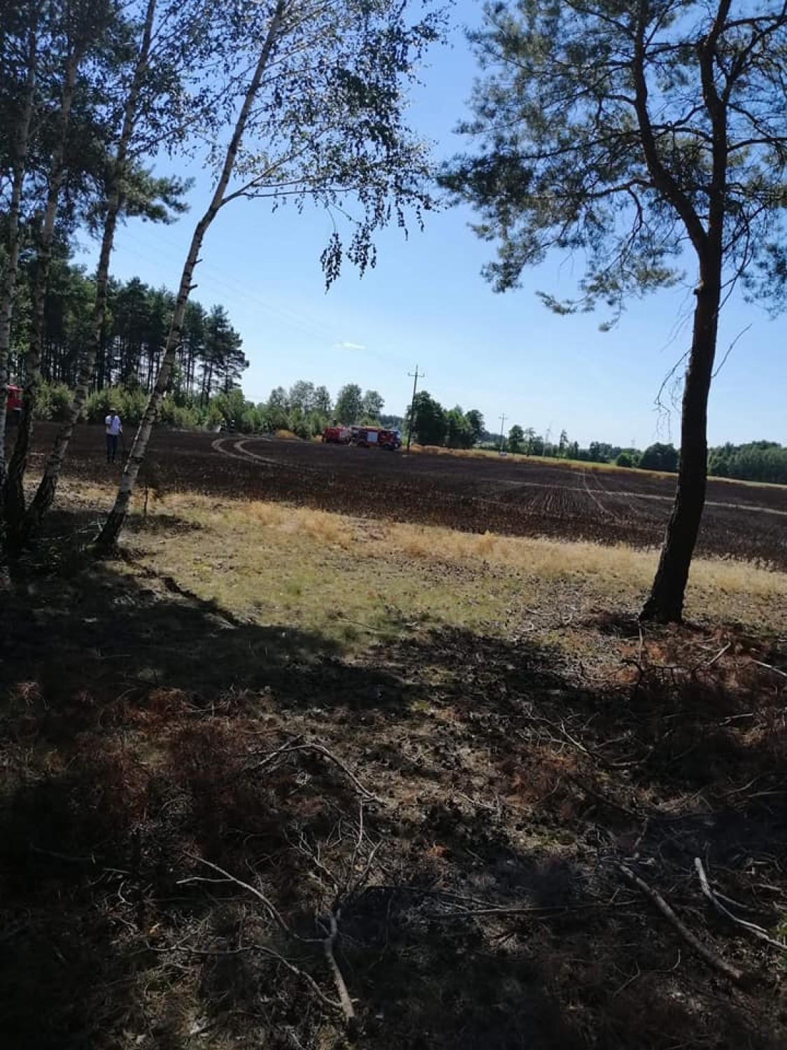 Pożar w miejscowości Leszczyca