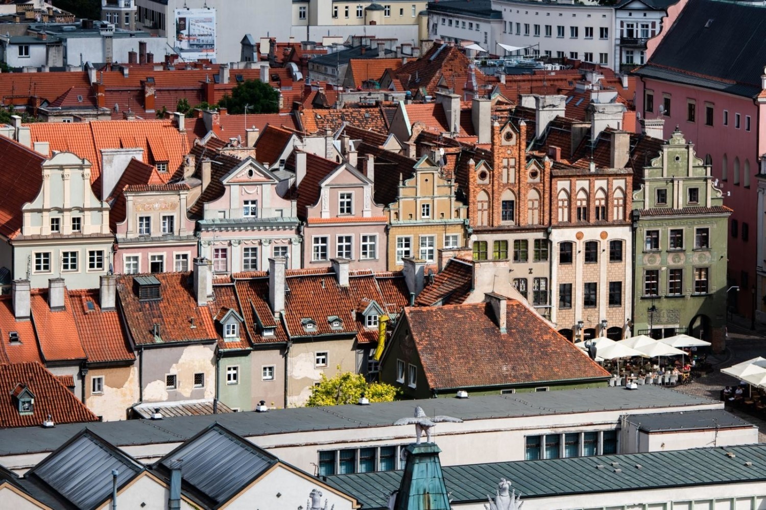 Dziennikarze "The Mirror" polecają między innymi Stary Rynek w Poznaniu