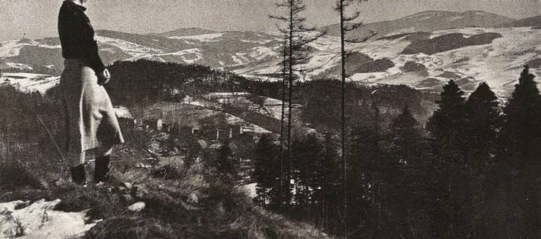 Zdjęcie artykułu z dnia 26-02-2026