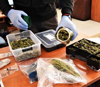 Kryminalni z Szamotuł zabezpieczyli ponad pół kilograma marihuany! [ZOBACZ FILM]