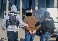Gang sutenerów rozbity. Jedna osoba została aresztowana w Toruniu!