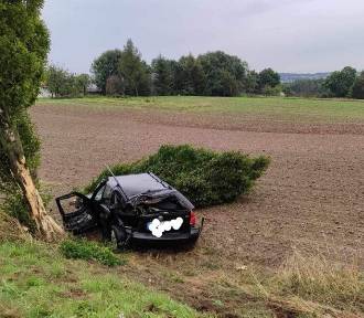 Samochód uderzył w drzewo. Wypadek na drodze wojewódzkiej pod Krakowem
