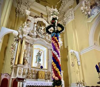 W kościele Bożego Ciała w Głogowie stanęła pięciometrowa palma