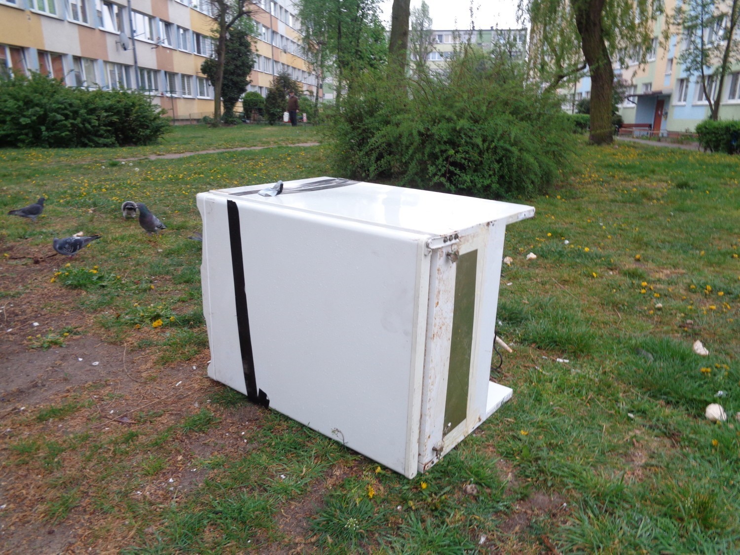 Miasto Kalisz reaguje na problem zwiększonej liczby odpadów. Postawi dodatkowe pojemniki