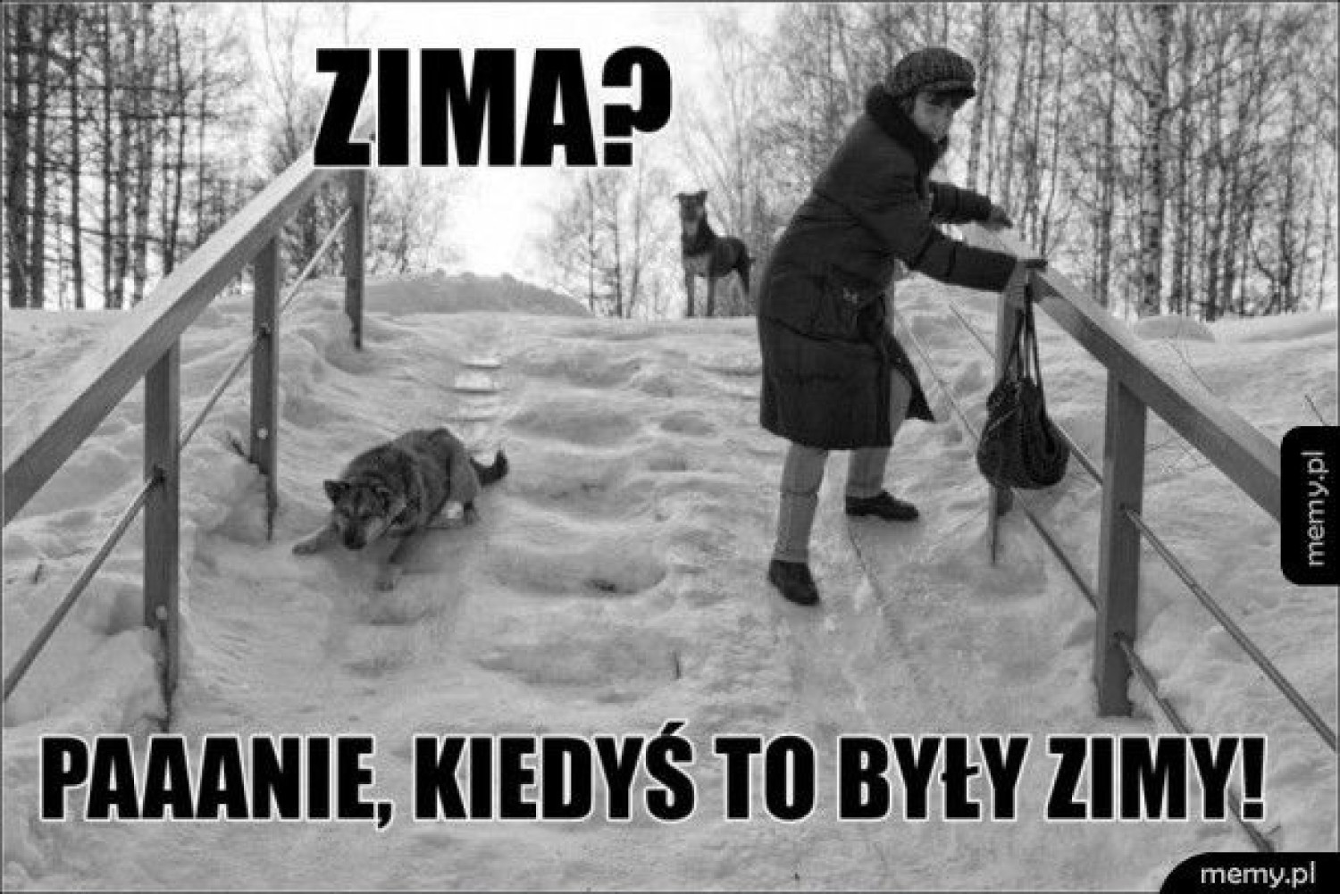 Zima daje się we znaki
