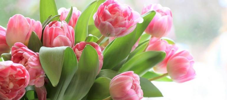 Zdjęcie artykułu z dnia 06-03-2026