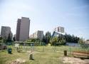 Psi Park na warszawskim Targówku zostanie zlikwidowany. Wybieg zbudowany w ramach Budżetu Obywatelskiego kosztował 160 tysięcy złotych