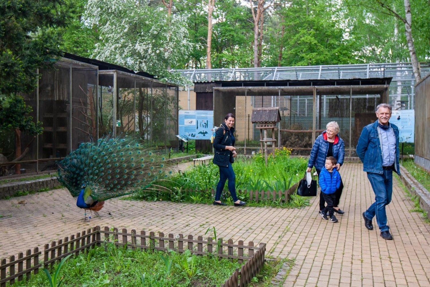 Bydgoskie zoo w Myślęcinku już otworzyło się na zwiedzających