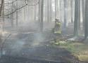 Pożar lasu w Olpuchu w gm. Stara Kiszewa. W akcji uczestniczył samolot gaśniczy ZDJĘCIA