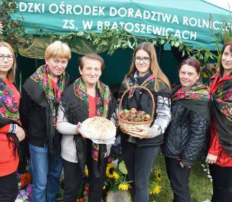 Kościerzyński Dzień Ziemniaka 2023. Wielka rolnicza impreza w Łódzkim w niedzielę FOT