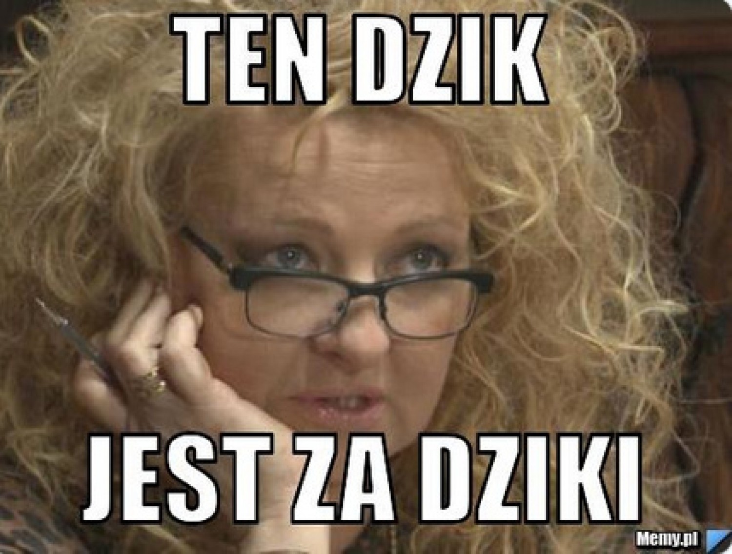Awantura o dzika: Dzik jest dziki - kto jest zły? OPINIE, MEMY Temat dzików rozgrzał internet do czerwoności