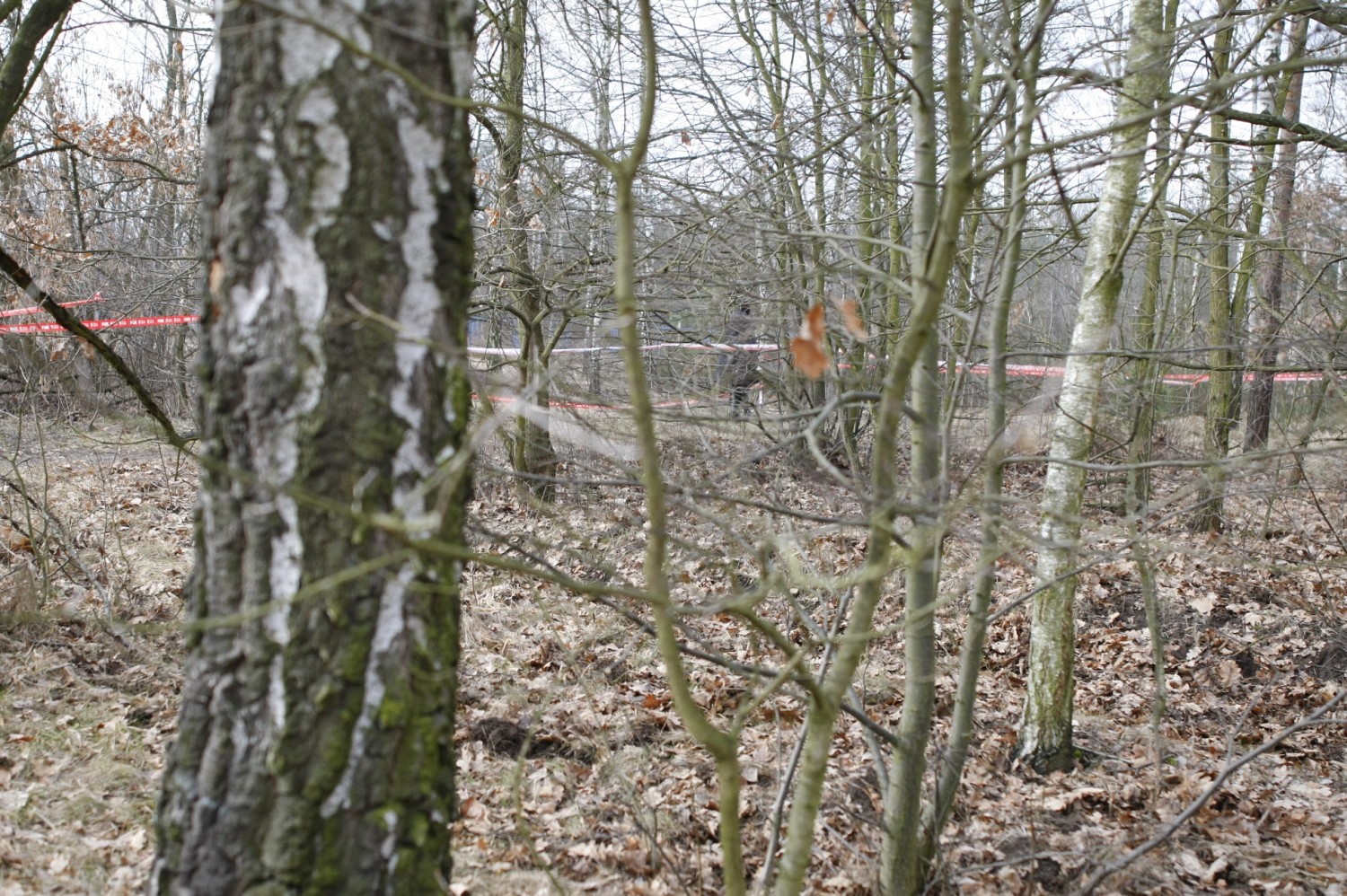 Run or Death Krwawe Walentynki 2019. Biegacze uczcili święto miłości w nietypowy sposób. Zdjęcia z biegu