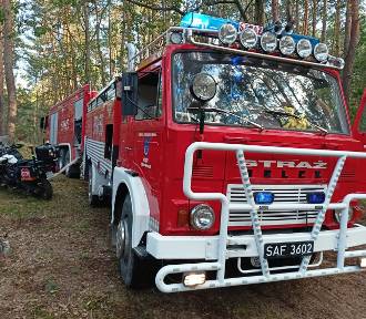 Pożar lasu w Porębach w gminie Zduńska Wola