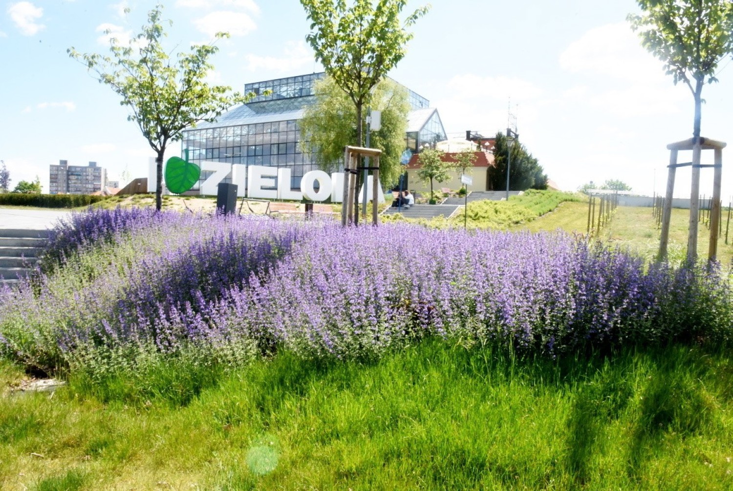 Zielona Góra, 20 maja 2020 r