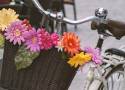 Powitanie wiosny na rowerach w Radomsku. Już w najbliższą sobotę!